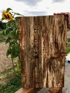 Столешница умывальника из Окаменелого дерева фото 4015